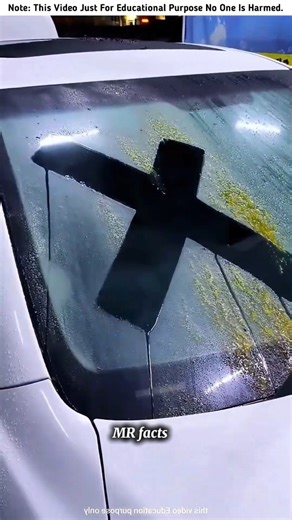 Building Wooden Log Cabin in Forest Surviva House Step by Step "7 #shorts #factds