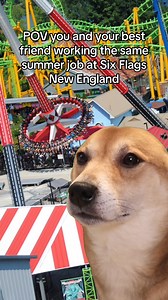 Work with your friends and get paid to play! Apply online at sixflagsjobs.com and visit us in person for our Job Fair, February 17 & 18 from 10 am - 4 pm. #MySixFlags #SixFlagsMemories | Six Flags New England