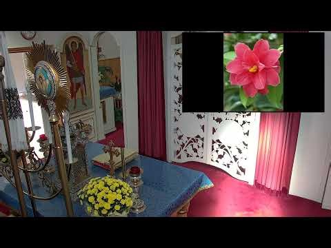 SMSP Vancouver Live Stream