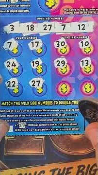 🔥 2 NUMBER MATCHES + BONUS WIN on a $5 PA Lottery WILD SIDE Scratch-Off!! 😱 $100 WINNER?! 💰🍀