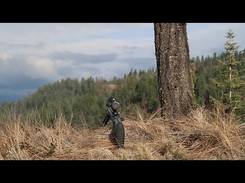 MODERN RIFLE ELK HUNTING - WASHINGTON STATE