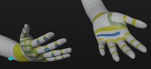 Topology: Modeling Human Hands