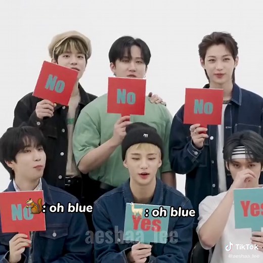 his favorite color is blue 🥹💙 #straykids #skz #bangchan #leeknow #changbin #hyunjin #han #felix #seungmin #IN