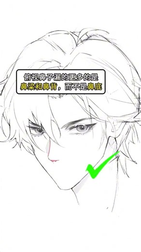 Mastering Head Perspectives: A Quick Guide #drawingtutorial #digitalart #art