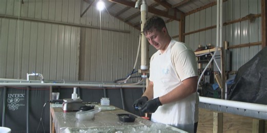 19-year-old entrepreneur raises shrimp on family farm near Cook