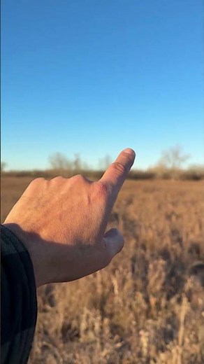 2025 Saskatchewan Whitetail hunting #hunting #whitetail #bucks