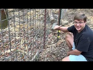 Pig Pen Build: The New Training Pen for Pigs the Electric Fence