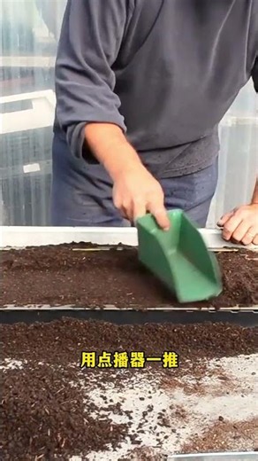 What is paper chain seedling technology? It's like zipping a zipper – simply pull the honeycomb p...