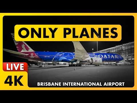 🔴 LIVE WET Sunday Sesh Plane Spotting @ Brisbane Airport w/ Matty + ATC | Brisbane, Australia 🇦🇺✈️
