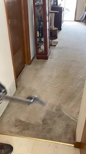 Hey Minneapolis! 👉 3 Rooms Cleaned for ONLY $119! 🧼✨ (Up to 225 sqft per room) 🕒 LIMITED TIME OFFER! Only 10 slots available at this INSANE price! Why your carpets will thank you: ✅ Lightning-fast dry times ✅ Pro-level floor care ✅ Eco-friendly cleaning (safe for Fido too!) ✅ Certified cleaning wizards ✅ Family-owned magic 🏆 Our 100% Satisfaction Guarantee: If your carpets don't look better, we'll refund every penny! 💰 Don't believe us? Our customers are shouting from the rooftops: "These g