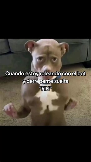 Conversaciones Graciosas con Bots en Character AI