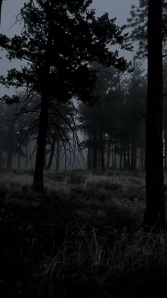 Intimate ASMR Whispering for Relaxation