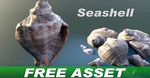 3D Seashell | Characters | Unity Asset Store