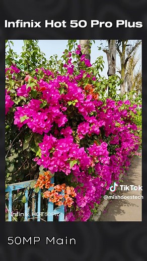 Infinix Hot 50 Pro Plus vs Redmi Note 14: Camera Showdown