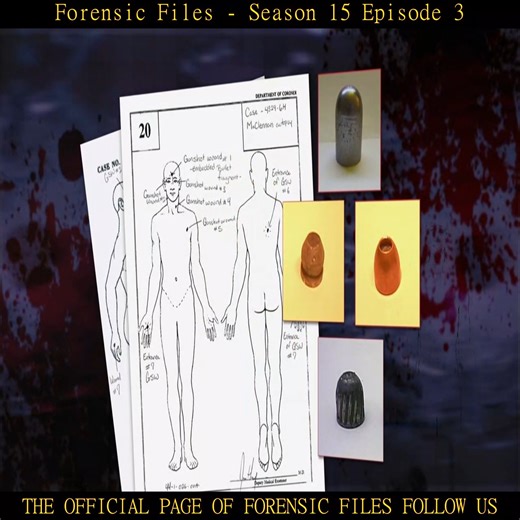 Forensic Files Season 15 Episode 3 Part 0 | Forensic Files 2024