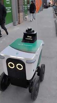 Robot food delivery China doll restaurant