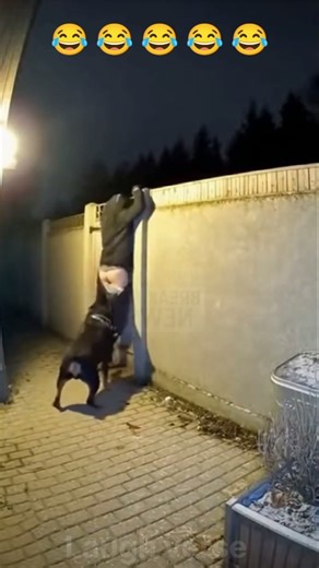 Funny fail 🤣🤣 🤣🤣 EP 120 #funny​ #epicfails​ #shortsfeed​ #viral​ #internetmeme​ #funnyclips​