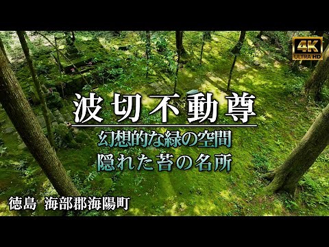 【波切不動尊】徳島県海陽町 緑の癒しの空間 苔の名所をドローン空撮 DJI Mavic 3