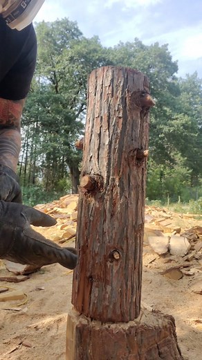 Jess Alice on TikTok