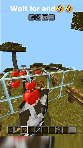 Minecraft tells about the lond distance relationship.......... #minecraft #senpaispider