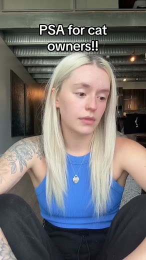 Male Cat Urinary Blockages: A Guide for New Cat Owners