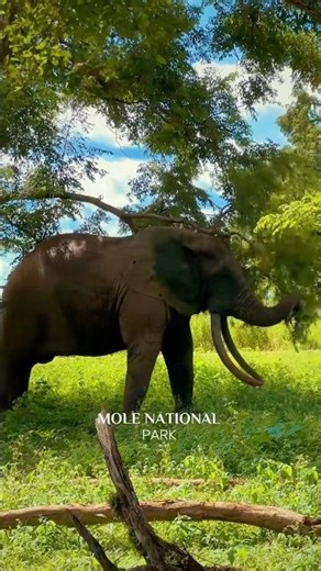 Top 10 Best Places to Visit in Ghana 🇬🇭 | Hidden Gems You Must See Before You Leave!