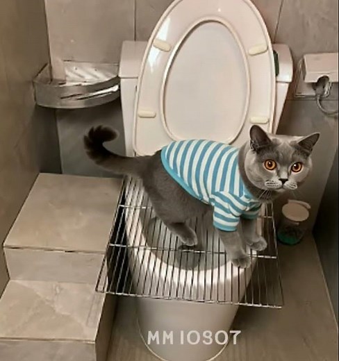 Self-Made Pet Toilet: The Ultimate Dog Bathroom Gadget!