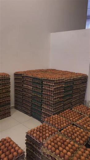 Huevos Frescos Sys en Villavicencio y Restrepo