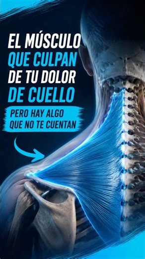 Is this the culprit behind your neck pain?