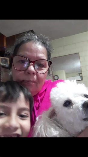 Videos de Moni_Tabata (@moni_tabata) con “Monkeys Spinning Monkeys - Kevin MacLeod & Kevin The Monkey”