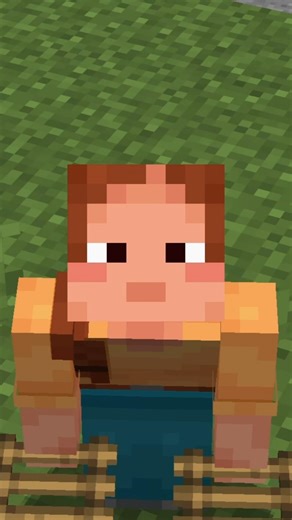 Best Use OF Ladder For Minecraft..