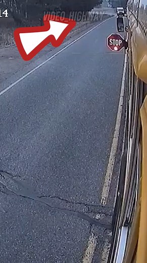 240K views · 2.4K reactions | "Bus Stop Sign Ignoring" | High Awareness | Facebook