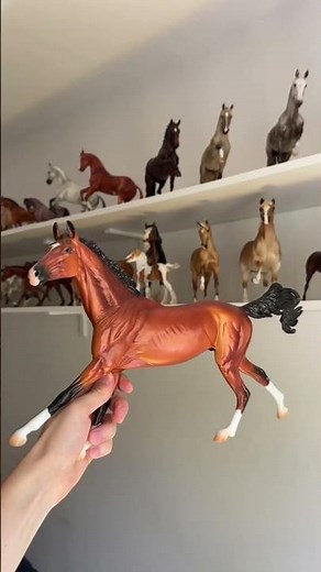 Breyer Collection Overview 🐴💛 #breyer #breyerhorses #breyers #modelhorse #modelhorses #breyerhorse