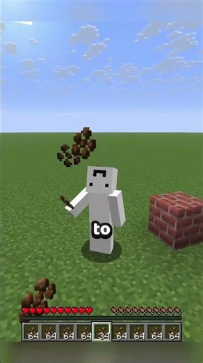 Na tohle Mojang zapomněl...