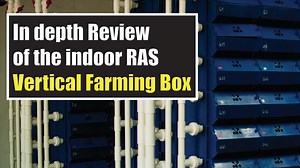 Hello Everyone, Do check out this video on an in-depth review of the boxes that we are currently using at our farm. And some of the different in piping systems for Malaysia and China. PS: We conduct monthly courses for those interested in mud crab aquaculture, for more info, do drop us a PM! | RAS Aquaculture