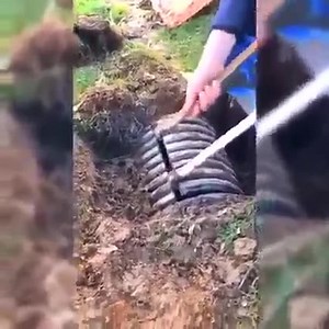 OMG, Wait for it | Disney memes