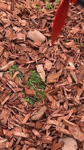 DIY garden tool handle using plastic pipes | Genius Cars Plus