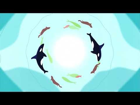 Working Together to Find Balance in the Floodplains