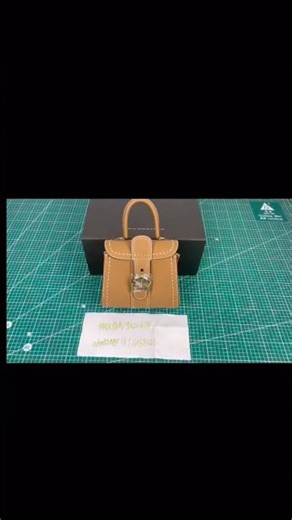 顾客定购!!德尔沃 比利时全新Le Brillant手提包 开箱评测