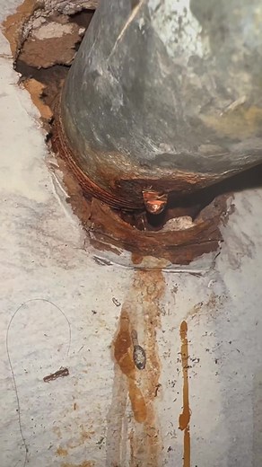 Kitchen Sink Drain Repair P-Trap Replacement #plumbing #plumber #plumbproud #plumblife #kitchen #kitcheninspiration #kitchenideas #kitchensink #diy #howto #reels #reelsvideo #reelsviral #serviceplumber | Theconservativeplumber