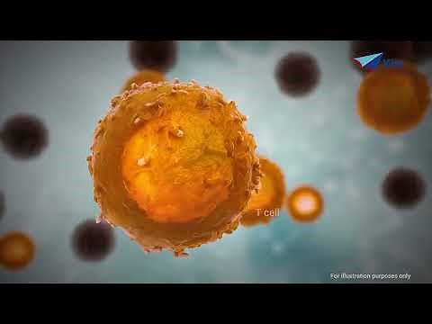 The Mechanism of Action of CAR T