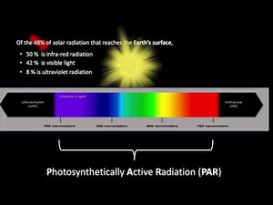Photosynthetically Active Radiation