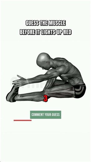 Seated Single Leg Hamstring Stretch: Avoid This Common Mistake