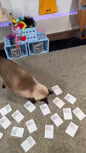 Cards Against Humanity