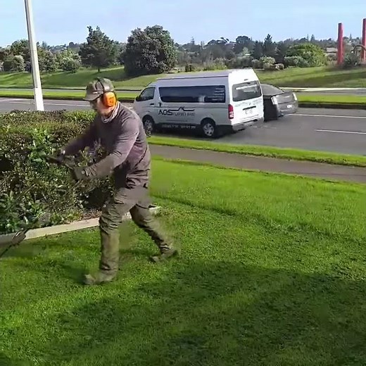 victa 560 mulch thick wet grass