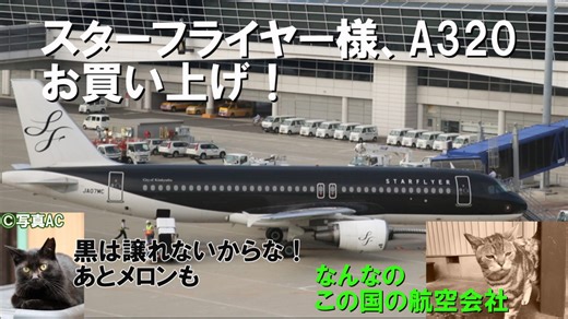 エアバスはどうやって日本市場を開拓したのか　第四話・エアバスは日本じゃモームリ？