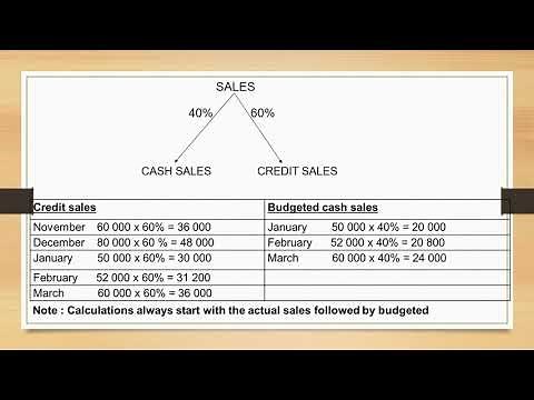 Gr11 budget: credit and cash sales