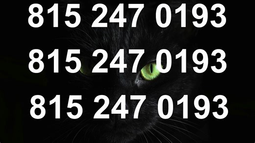 popular Reach™ BLUE TECHNICAL© SUPPORT℗ — Full Lis by tobsefyb512 - Dailymotion