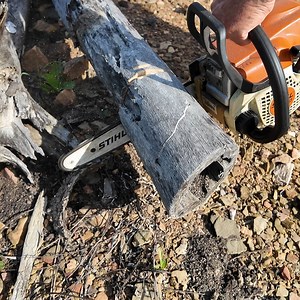 37K views · 468 reactions | How To Make A Bird Box - Bush Style! | Outback Tom Australia | Facebook
