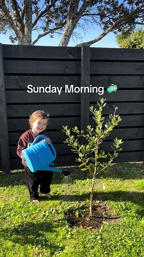 Keeping Hands Clean and Moisturized with Protex Soap